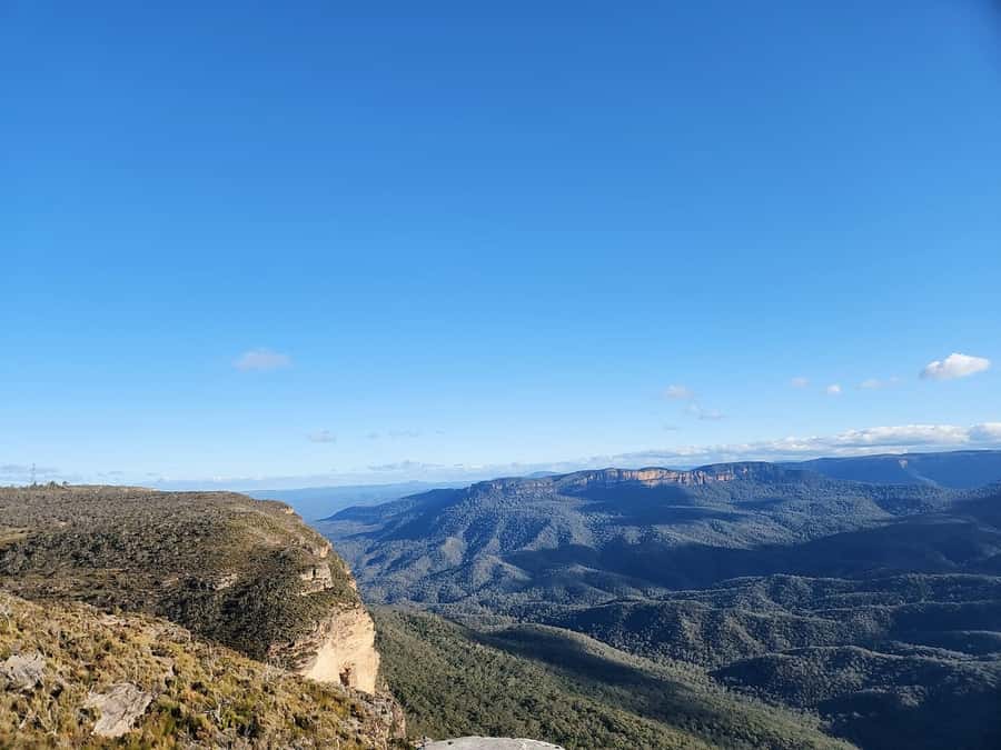 Sydney Blue Mountains, Scenic World, Featherdale (Private) - Featherdale Wildlife Park: a guided wildlife break