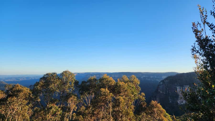 Sydney Blue Mountains, Scenic World, Featherdale (Private) - Who this tour is for, and who should skip it