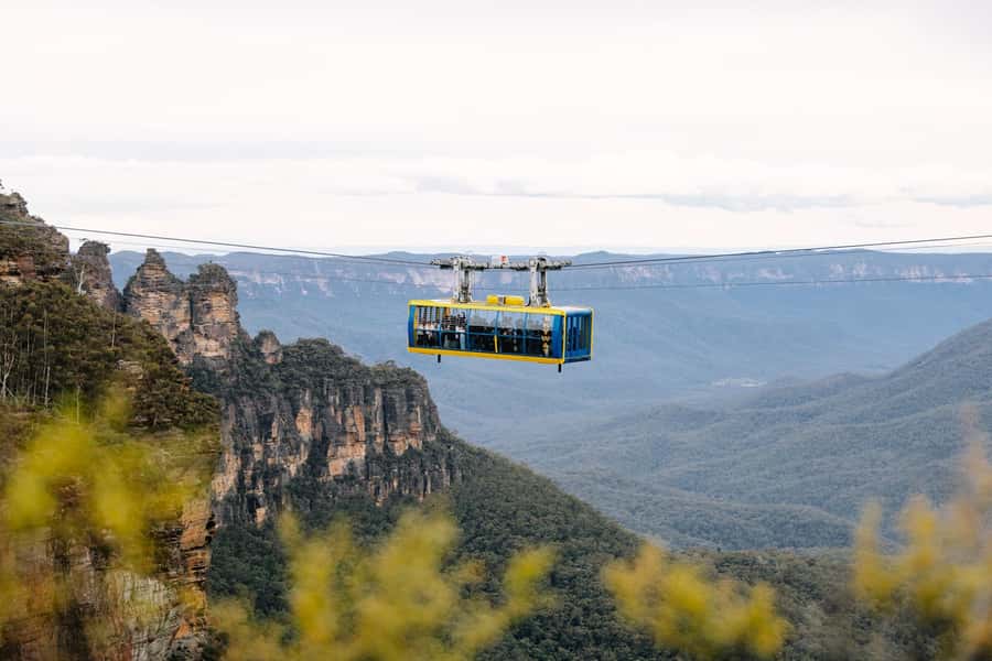 Sydney: Blue Mountains Scenic World, Wildlife Park and Lunch - A One-Day Blue Mountains Plan That Actually Feels Like a Day