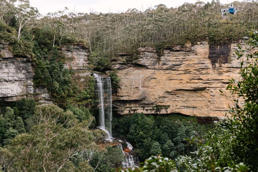 Sydney: Blue Mountains Scenic World, Wildlife Park and Lunch - Should you book this Blue Mountains all-inclusive day tour?