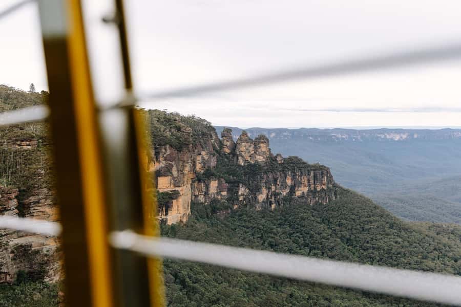 Sydney: Blue Mountains Scenic World, Wildlife Park and Lunch - Featherdale Wildlife Park: animal time before the lines