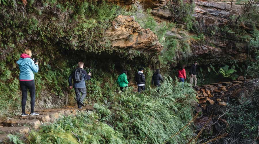 Sydney: Blue Mountains Wildlife & Bushwalk Small-Group Tour - Mountain views at Three Sisters and beyond, without the full crowd grind