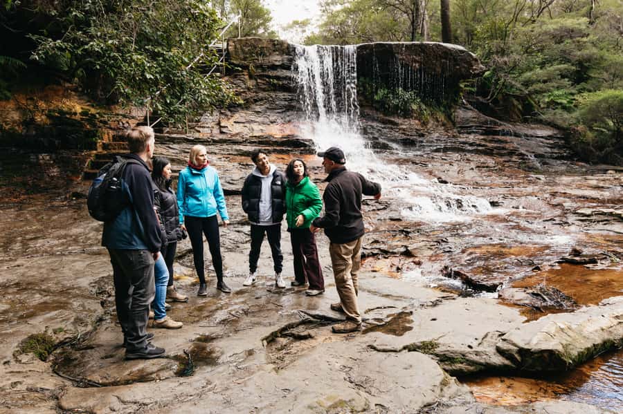 Sydney: Blue Mountains Wildlife & Bushwalk Small-Group Tour - Weather-adaptive planning and why guides matter