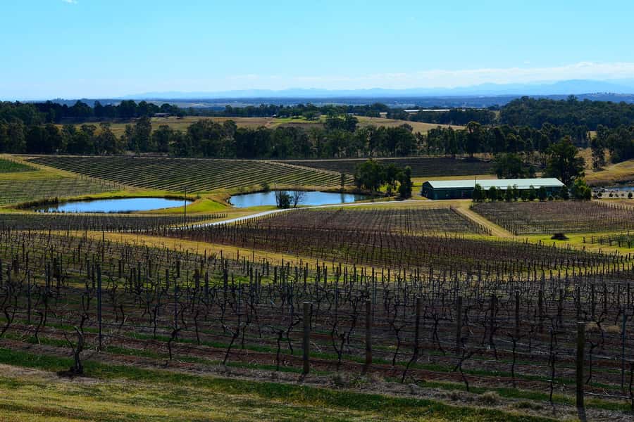 Sydney: Chef-Led Hunter Valley Food & Wine Tour - Key Points Worth Noting