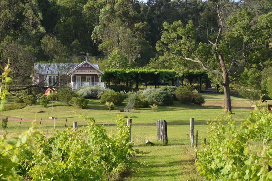 Sydney: Chef-Led Hunter Valley Food & Wine Tour - Driving Out to Hunter Valley Wine Country (With a Few Wildlife Chances)