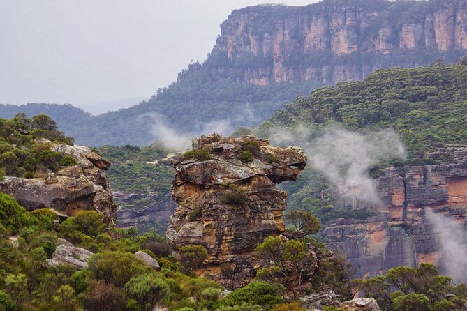 Sydney City and Blue Mountains in One Day Private Tour - A one-day Blue Mountains plan that stays calm