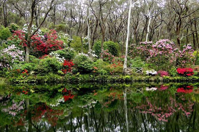 Sydney City and Blue Mountains in One Day Private Tour - Scenic World: cable car, railroad, and gondola rides