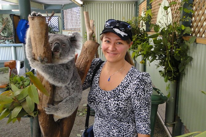 Sydney City and Blue Mountains in One Day Private Tour - Food along the bushland drive, and why it’s more than a break