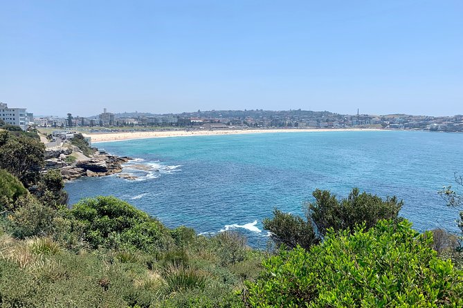 Sydney City, Harbour & Bondi Private Tour, with Airport pick up or drop off - Key things you should know