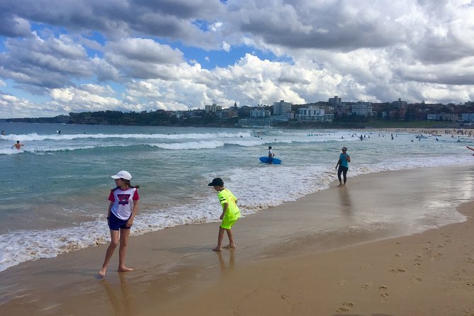 Sydney City, Harbour & Bondi Private Tour, with Airport pick up or drop off - Lavender Bay: morning tea and close-up Bridge views