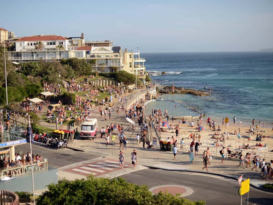 Sydney: City Highlights Guided Bus Tour - Domain, the Art Gallery, and the Botanic Garden: the classic Sydney warm-up