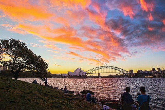 Sydney City Highlights & Hidden Gems: Private or Small Group Tour - Paddington for terrace houses and a calmer Sydney mood