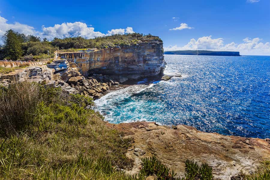 Sydney: City Highlights Private Half-Day Tour - Key highlights worth planning around