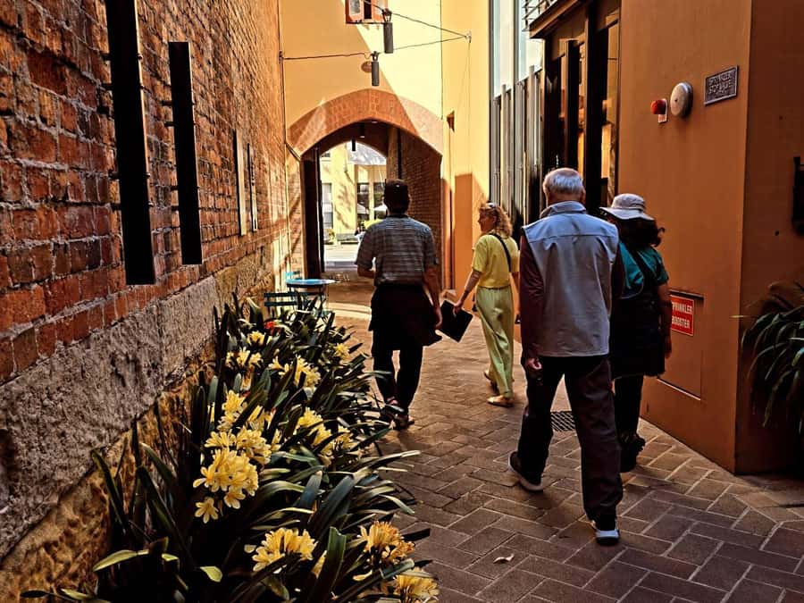 Sydney: City Sights Walking Tour - Who should book this Sydney city sights walk