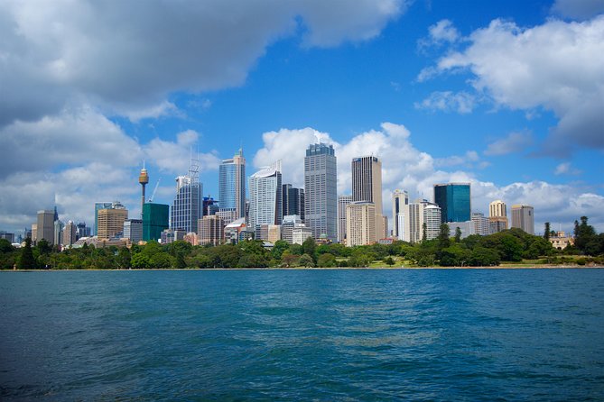 Sydney Coastal Escape | Private Mercedes Tour Sydney - Gap Park near Watsons Bay: short stop, big perspective