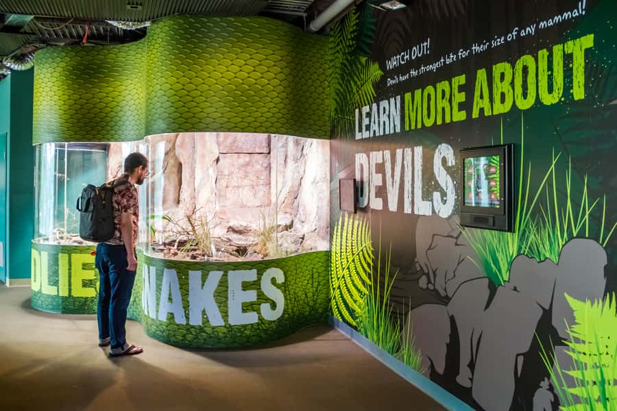 Sydney: Combo Pass for 2, 3, or 4 Top City Attractions - Key highlights worth planning around