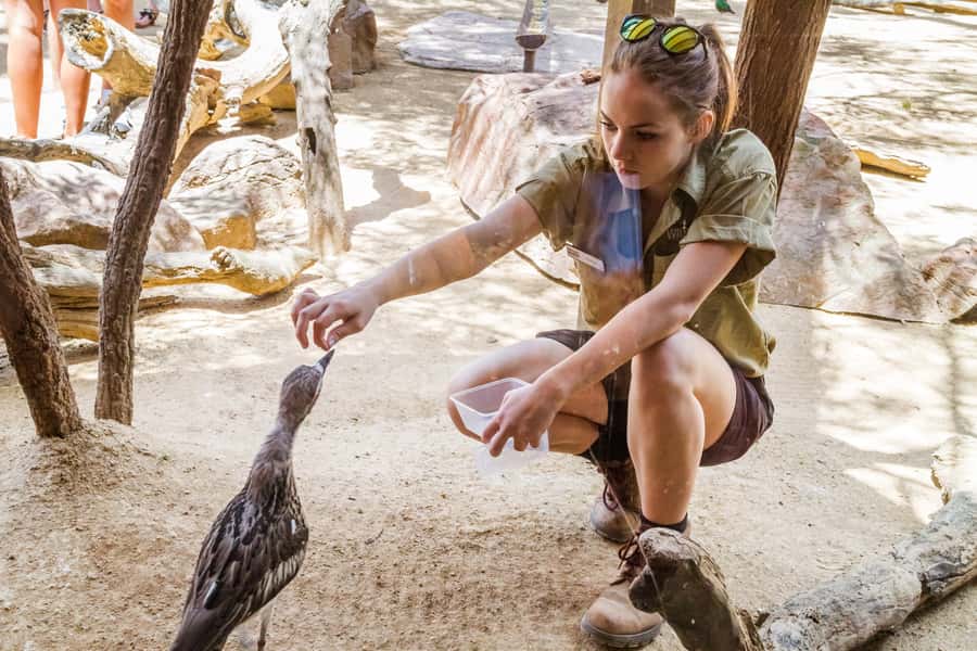 Sydney: Combo Pass for 2, 3, or 4 Top City Attractions - Who this pass suits best