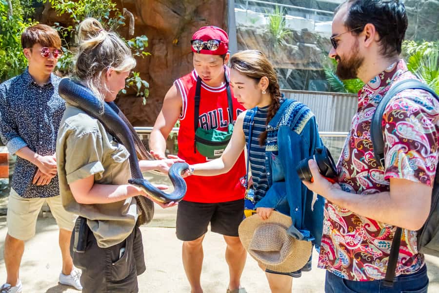 Sydney: Combo Pass for 2, 3, or 4 Top City Attractions - What this Sydney combo pass really gives you