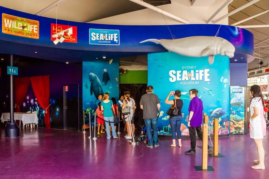 Sydney: Combo Pass for 2, 3, or 4 Top City Attractions - Madame Tussauds Sydney: fame, faces, and a fun family detour