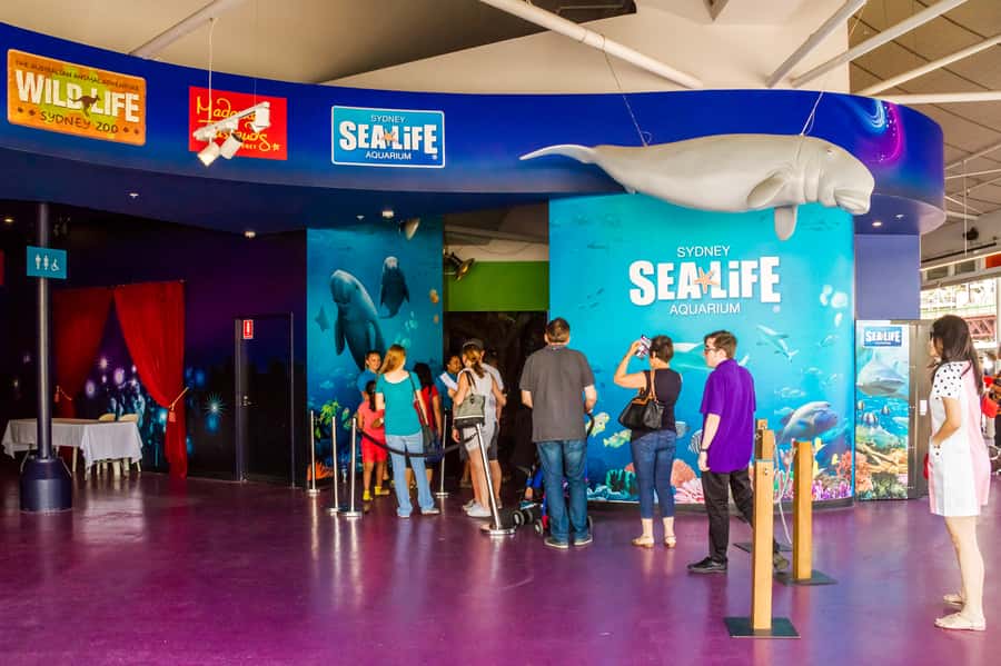 Sydney: Combo Pass for 2, 3, or 4 Top City Attractions - Tips that make the day smoother, especially with kids