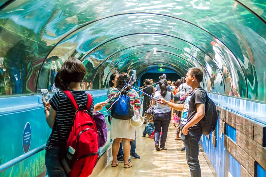 Sydney: Combo Pass for 2, 3, or 4 Top City Attractions - How the pass timing works when you want a relaxed itinerary