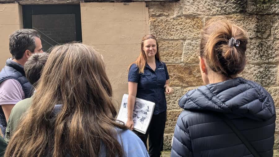 Sydney Convicts, History & The Rocks 2.5-Hour Walking Tour - Circular Quay walk: reading the harbor instead of just seeing it