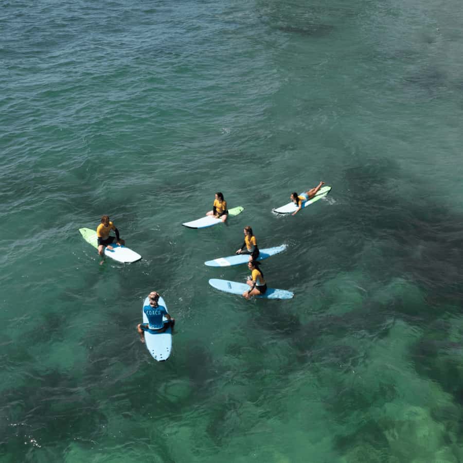 Sydney: Dee Why Beach Group Surfing Lesson - Price and Value: Is $53 Worth 90 Minutes?