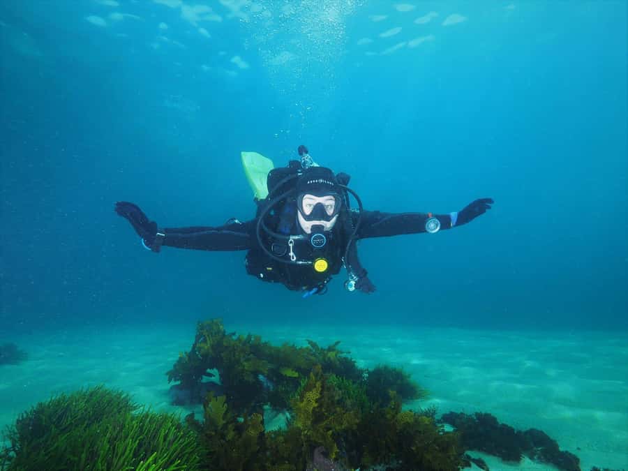 Sydney: Discover Scuba Dive at Australia's most Iconic Beach - Key Highlights You Should Care About