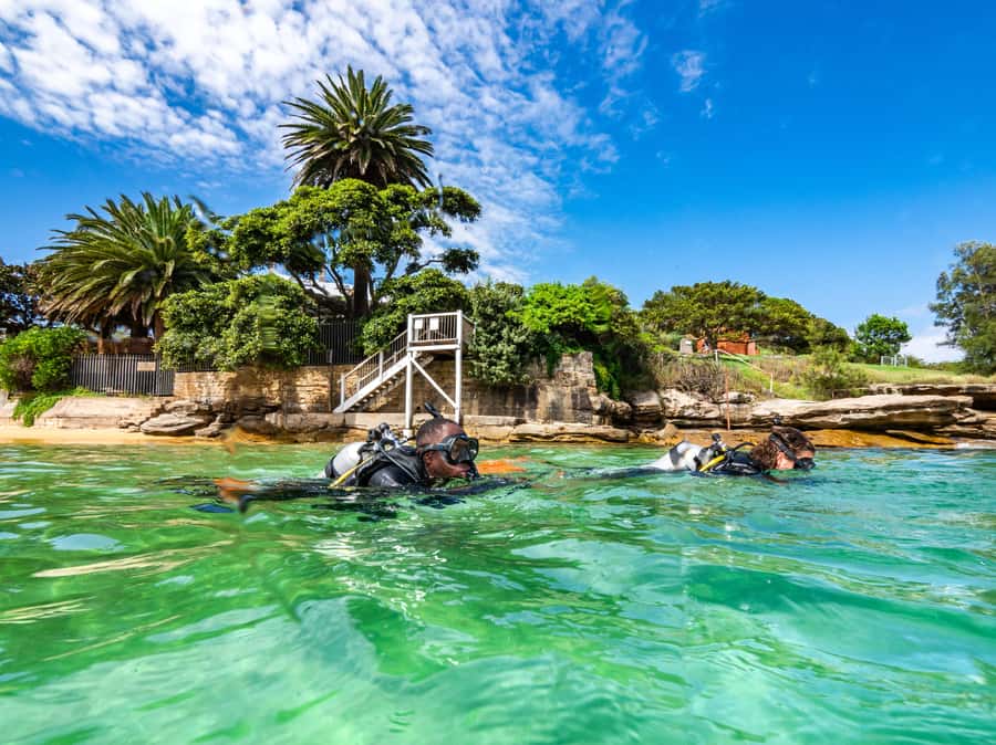 Sydney: Discover Scuba Dive at Australia's most Iconic Beach - Bondi Beach’s First-Scuba Setup at Dive Centre Bondi