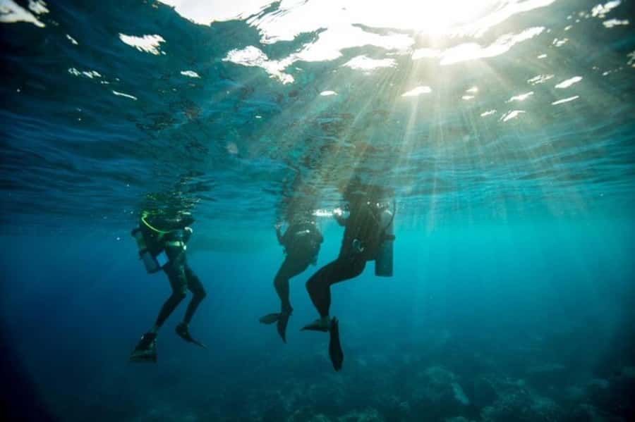Sydney: Discover Scuba Dive at Australia's most Iconic Beach - Safety Briefing and Basic Theory That Helps You Breathe Easier