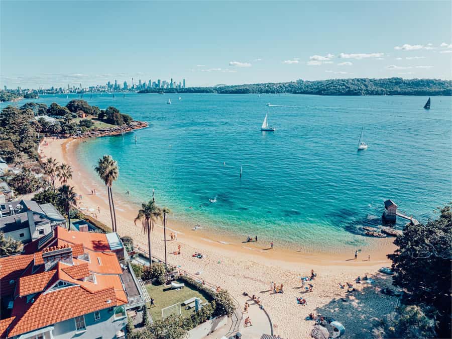 Sydney: Discover Scuba Dive at Australia's most Iconic Beach - What You Might See Under the Water Near Bondi