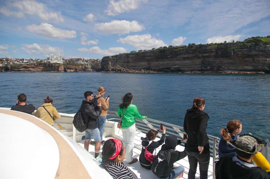 Sydney: Discovery Whale Watching Tour by Catamaran - Photographer Support: Getting the Shot Without Juggling Your Camera