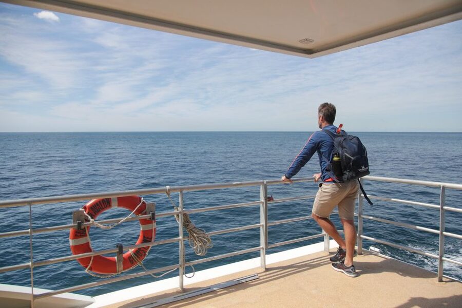 Sydney: Discovery Whale Watching Tour by Catamaran - Weather Reality: When It Gets Choppy, Plan for Flexibility