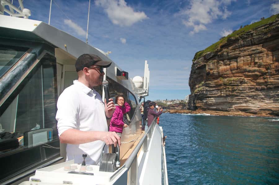 Sydney: Discovery Whale Watching Tour by Catamaran - Who Should Book This Catamaran Whale Tour?