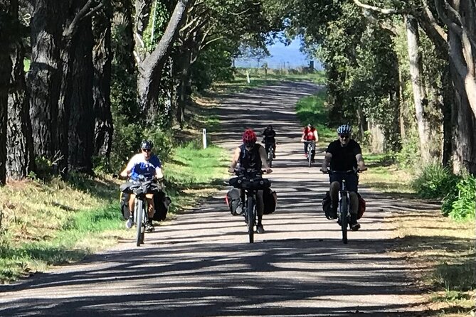Sydney Electric Mountain Bike Guided Tour - Price and value: is $132.69 per person a fair deal?