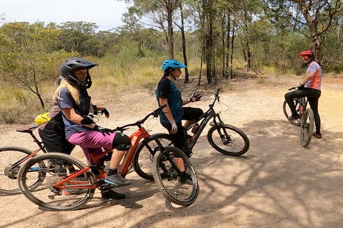 Sydney Electric Mountain Bike Guided Tour - Where you start at 10 Central St and how the day runs
