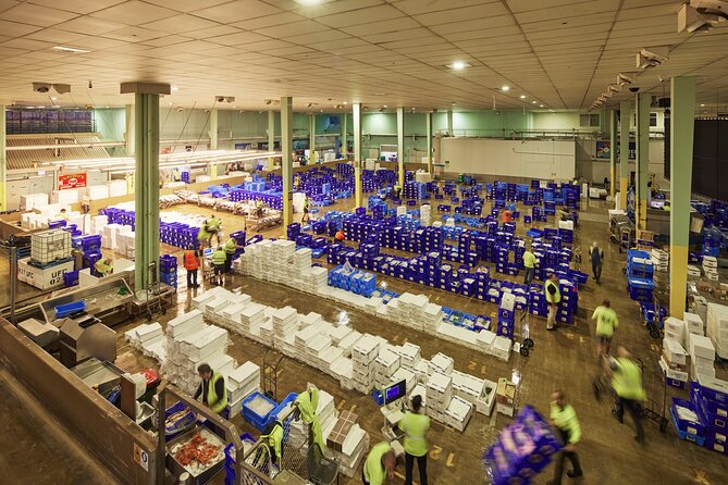 Sydney Fish Market Behind the Scenes Tour - Key takeaways before you go