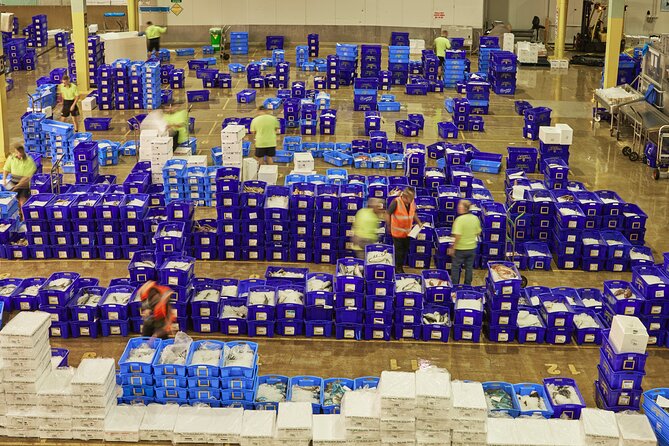 Sydney Fish Market Behind the Scenes Tour - Sustainability in the fishing and aquaculture story