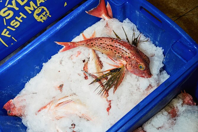 Sydney Fish Market Behind the Scenes Tour - Price and logistics: is $57.38 good value?