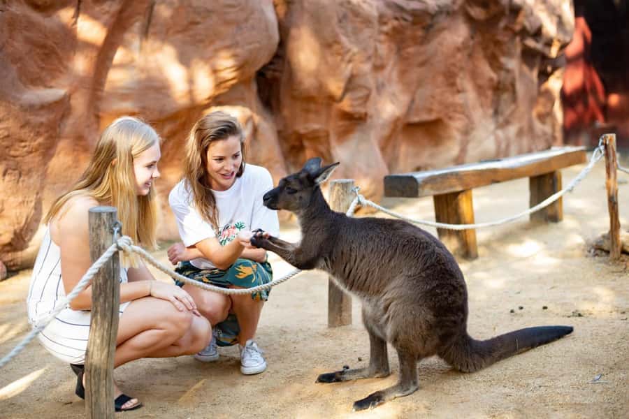 Sydney: Flexi Pass - Pick 3, 5 or 7 Experiences - The Opera House and Sydney Tower Eye, the “must see” layer