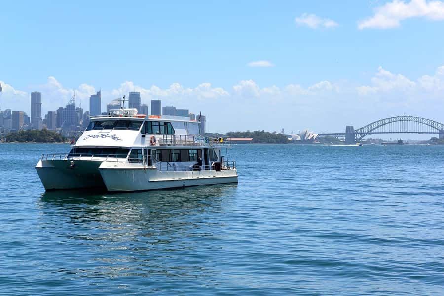 Sydney: Flexi Pass - Pick 3, 5 or 7 Experiences - Taronga Zoo, Sydney SEA LIFE Aquarium, and Sydney WILD LIFE Zoo