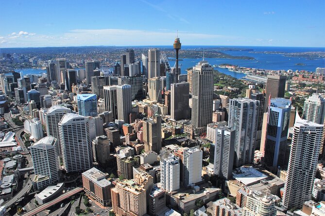 Sydney Grand Tour by Helicopter - Wildlife chances from the air, and how season changes the odds