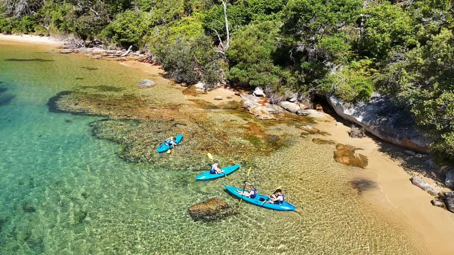 Sydney: Guided Kayak Taster Tour from Manly - Key things to know before you go