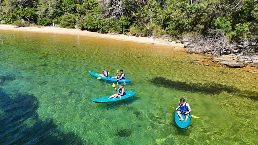 Sydney: Guided Kayak Taster Tour from Manly - Paddling Manly’s shoreline, then landing at Store Beach