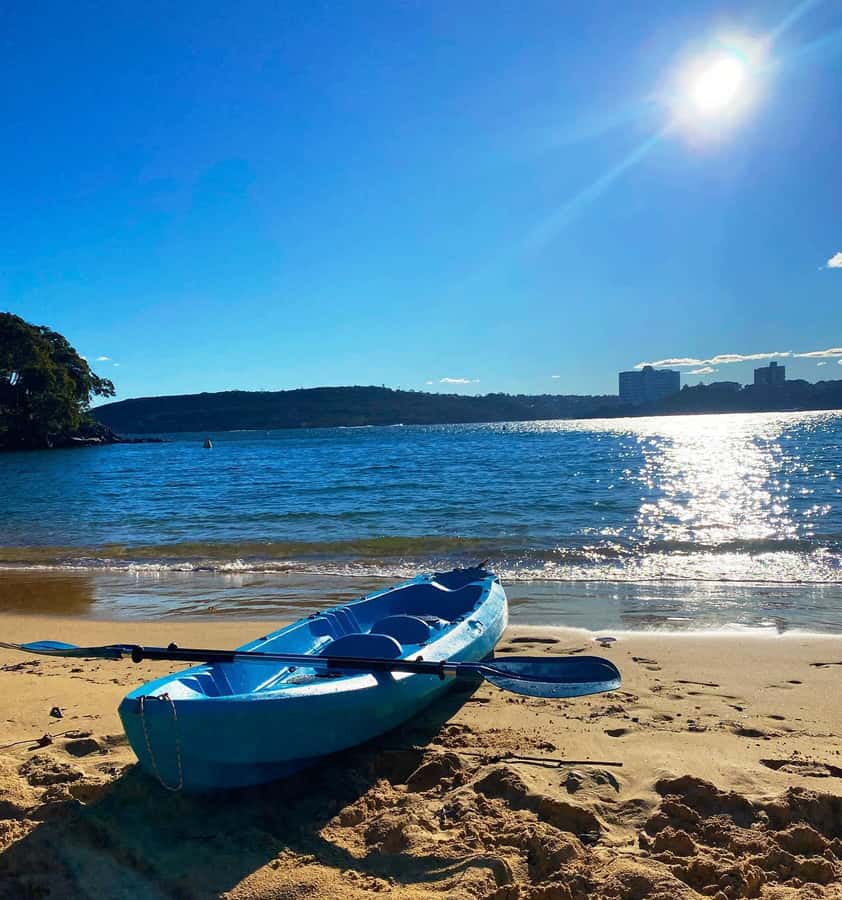 Sydney: Guided Kayak Taster Tour from Manly - Speedboat transfer and the tow-home plan (so you are never stuck)