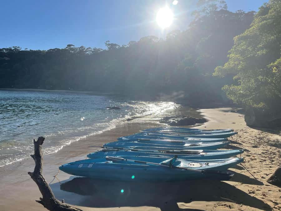 Sydney: Guided Kayak Taster Tour from Manly - The optional add-on: stay longer and kayak home later