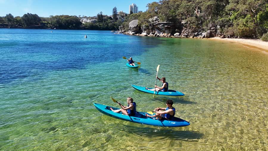 Sydney: Guided Kayak Taster Tour from Manly - Price and value: $46 for a guided kayak taster that feels safe