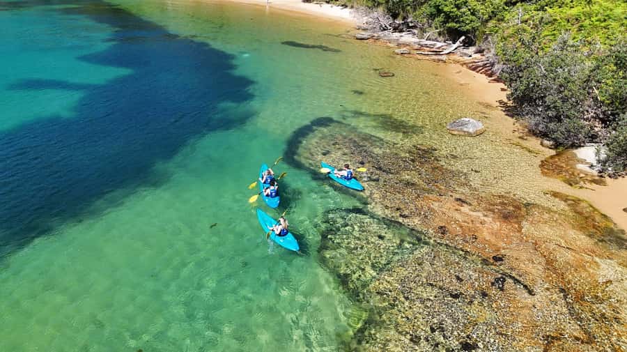 Sydney: Guided Kayak Taster Tour from Manly - The people factor: guides make or break this kind of tour