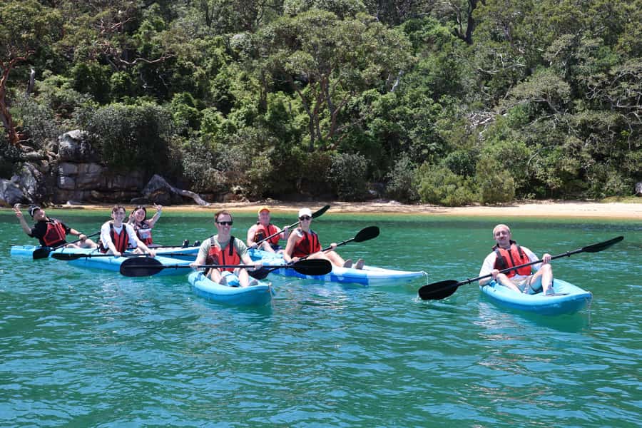 Sydney: Guided Kayak Taster Tour from Manly - Who should book this kayak taster, and who should skip it
