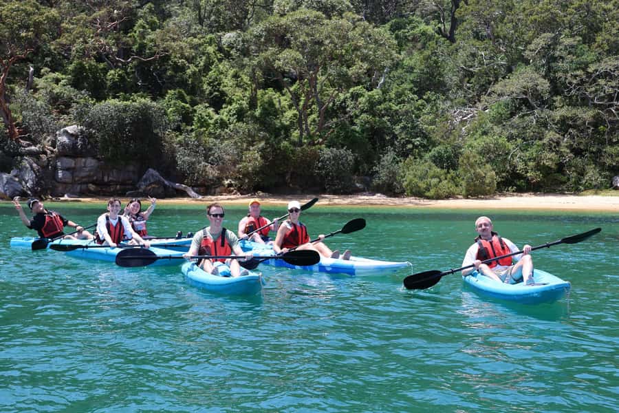 Sydney: Guided Kayak Tour of Manly Cove Beaches - Collins Flat, Store, and Quarantine: what the coastline actually looks like from your kayak